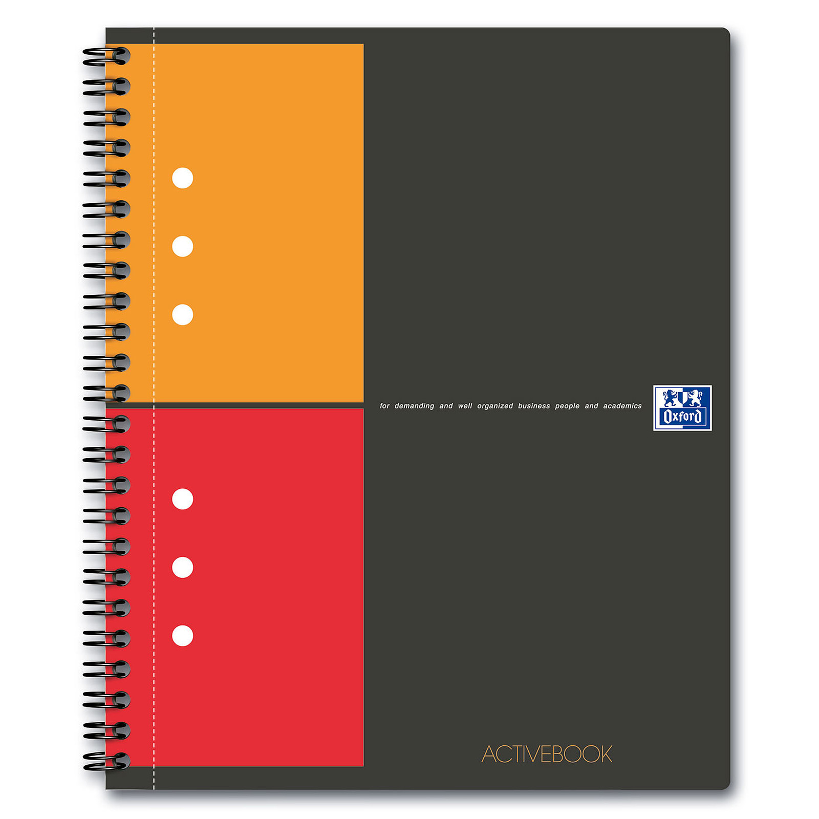 Oxford ActiveBook Cahier A5+ 160 pages petits carreaux - Cahier Oxford