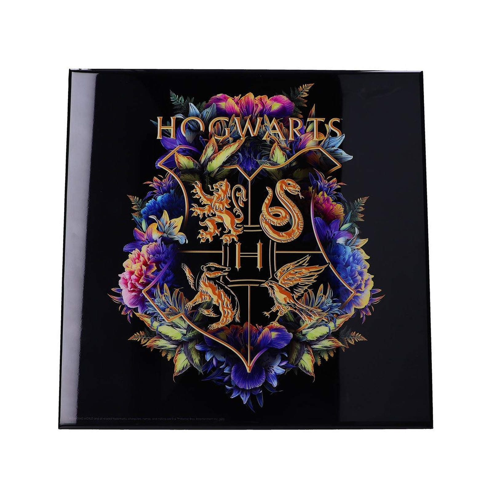Harry Potter - Decoration murale Crystal Clear Picture Hogwarts Fine Oddities 32 x 32 cm - Posters Nemesis Now