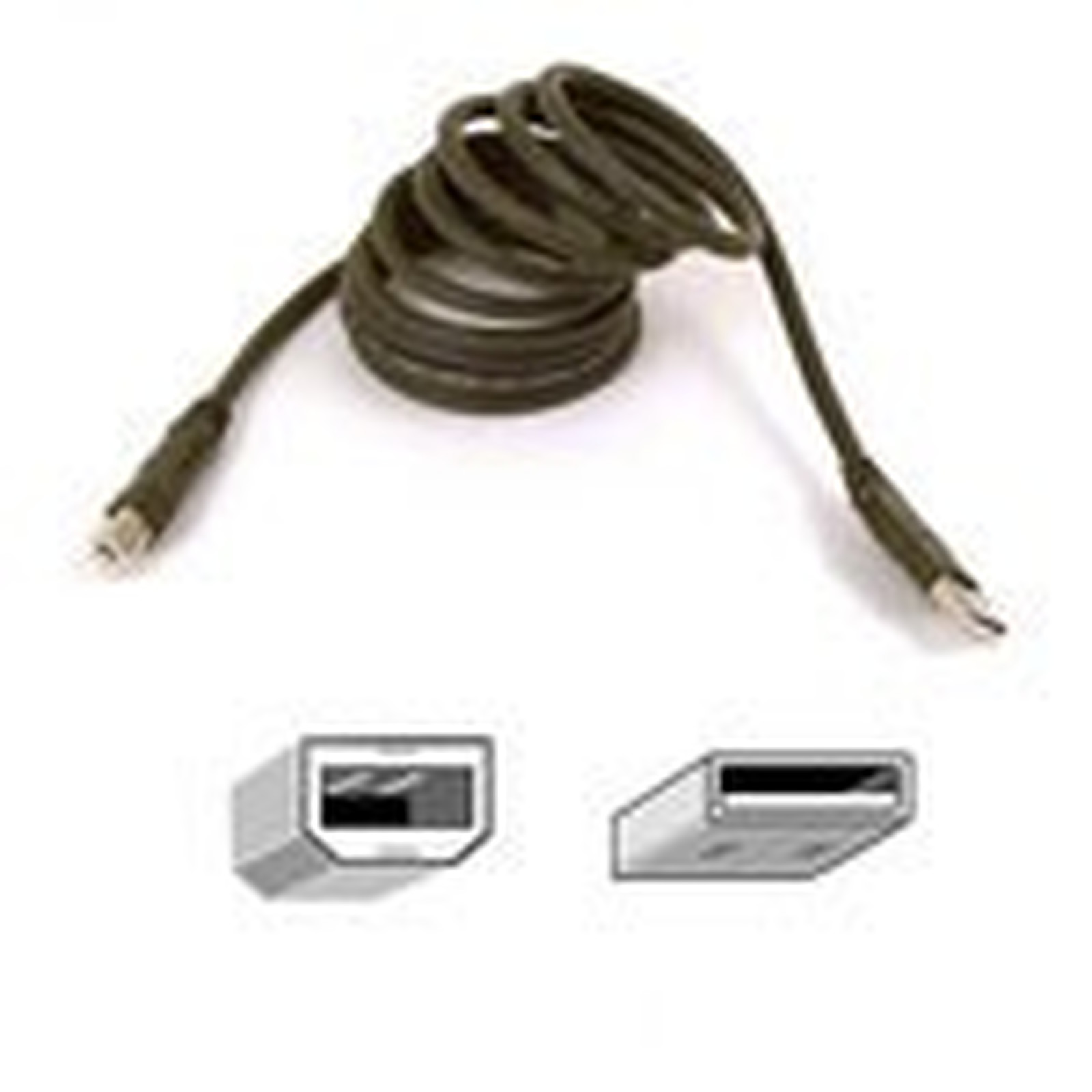 Belkin cable USB 2.0 Type AB (Male/Male) - 3 m - USB Belkin