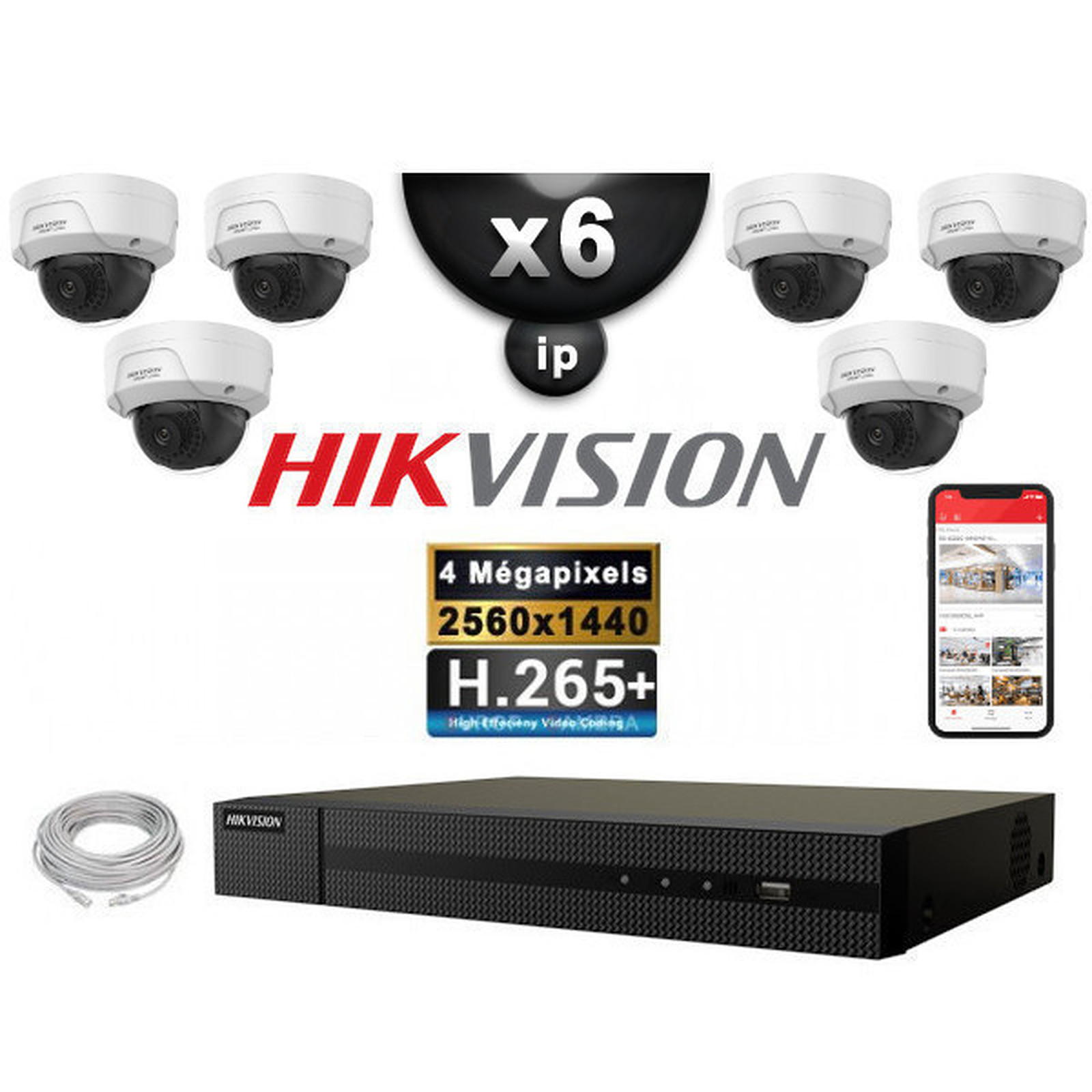 HIKVISION Kit Video Surveillance PRO IP : 6x Cameras POE Domes IR 30M 4 MP + Enregistreur NVR 8 canaux H265+ 2000 Go - Camera de surveillance Hikvision