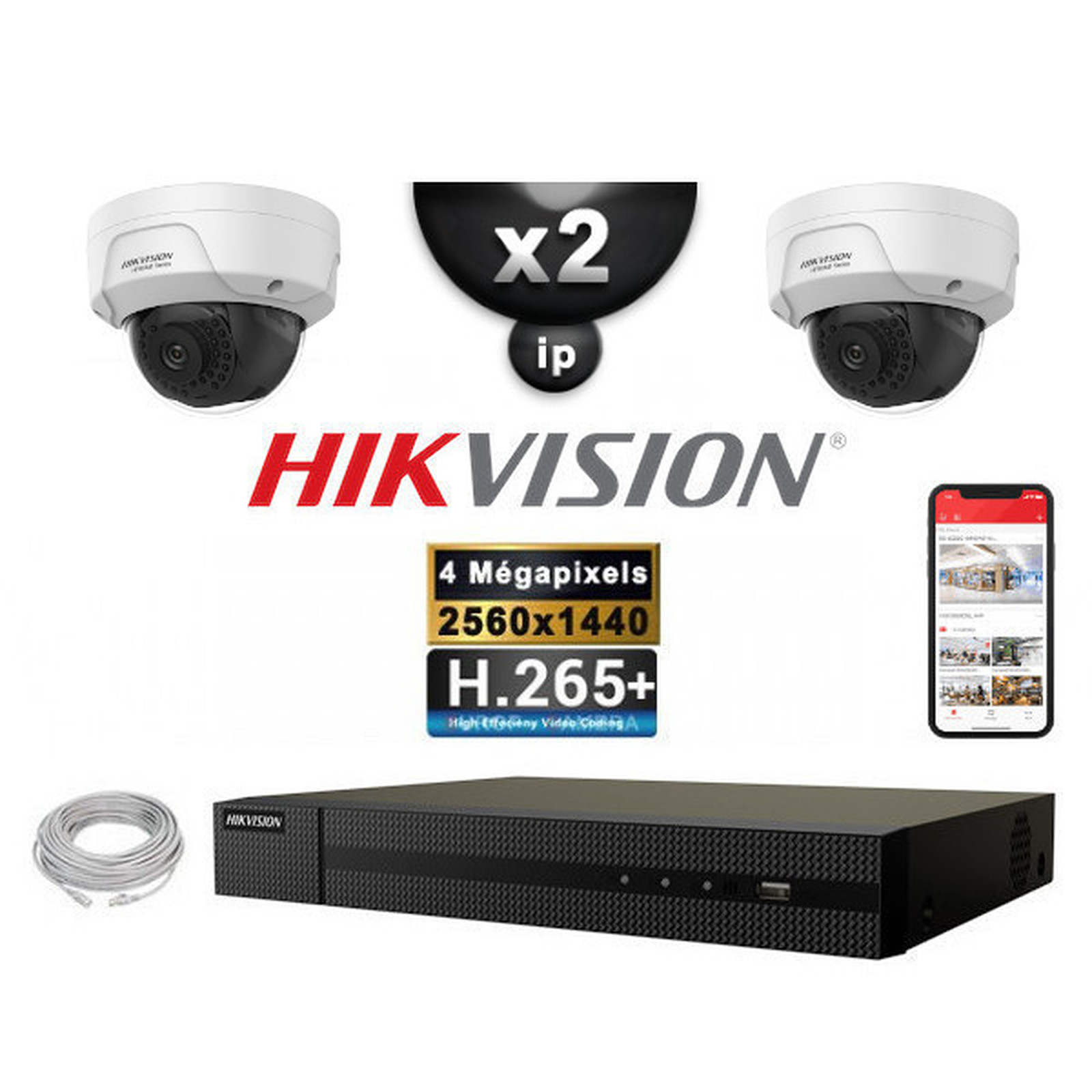 HIKVISION Kit Video Surveillance PRO IP : 2x Cameras POE Domes IR 30M 4 MP + Enregistreur NVR 4 canaux H265+ 1000 Go - Camera de surveillance Hikvision