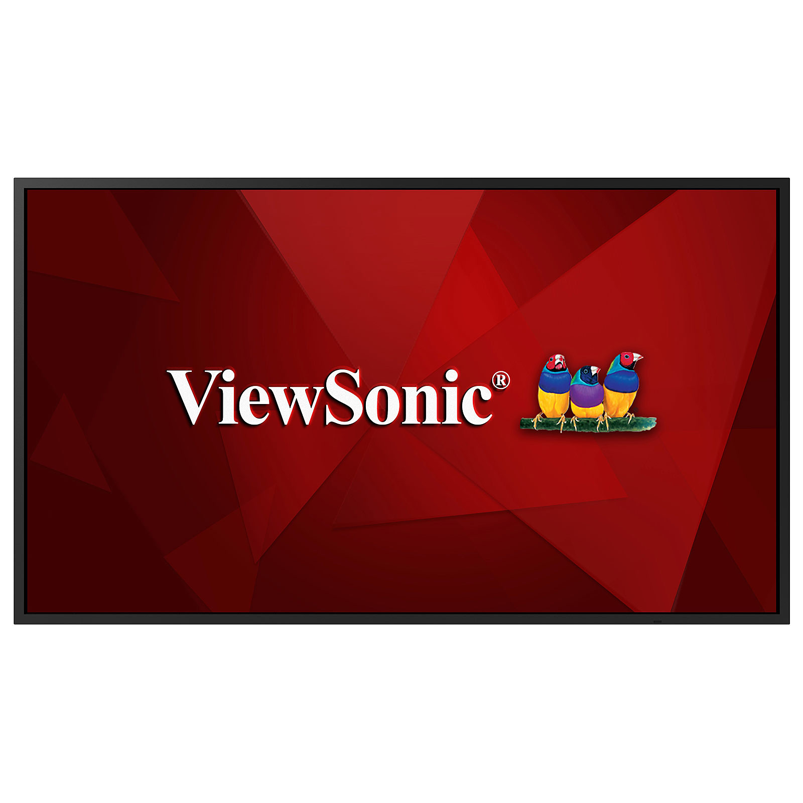 ViewSonic CDE5520 - Ecran dynamique ViewSonic
