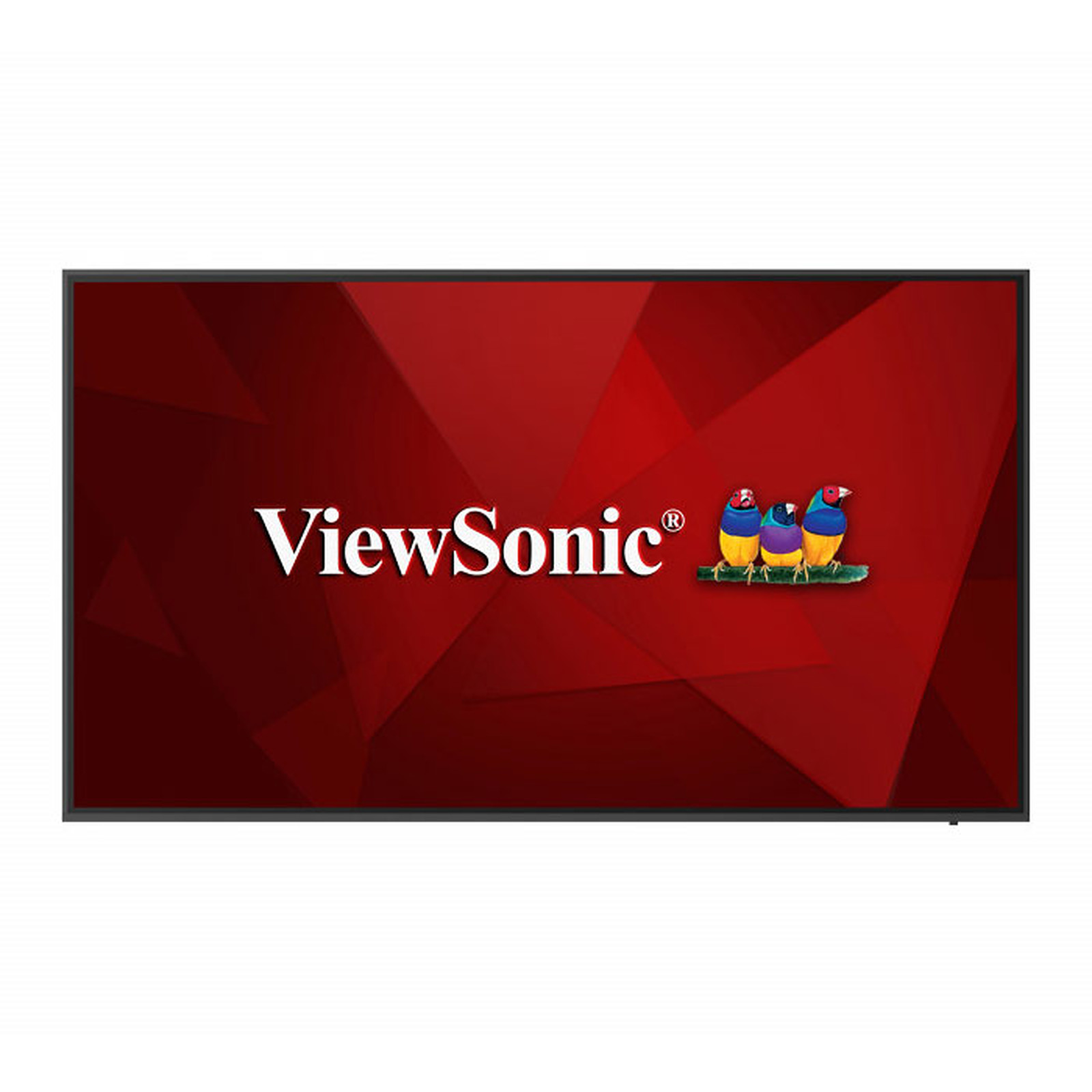 ViewSonic CDE6520 - Ecran dynamique ViewSonic