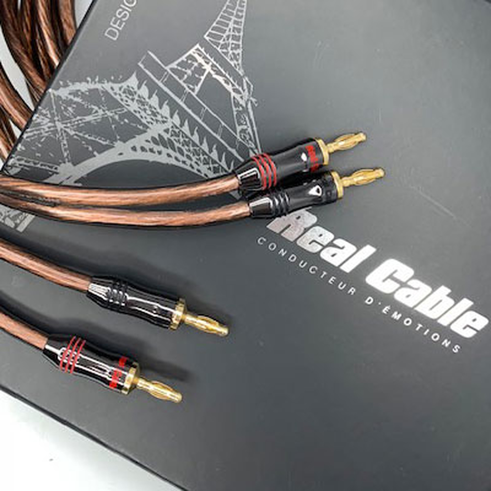 Real Cable Elite 300 (2x5m) - Cable haute qualite Real Cable