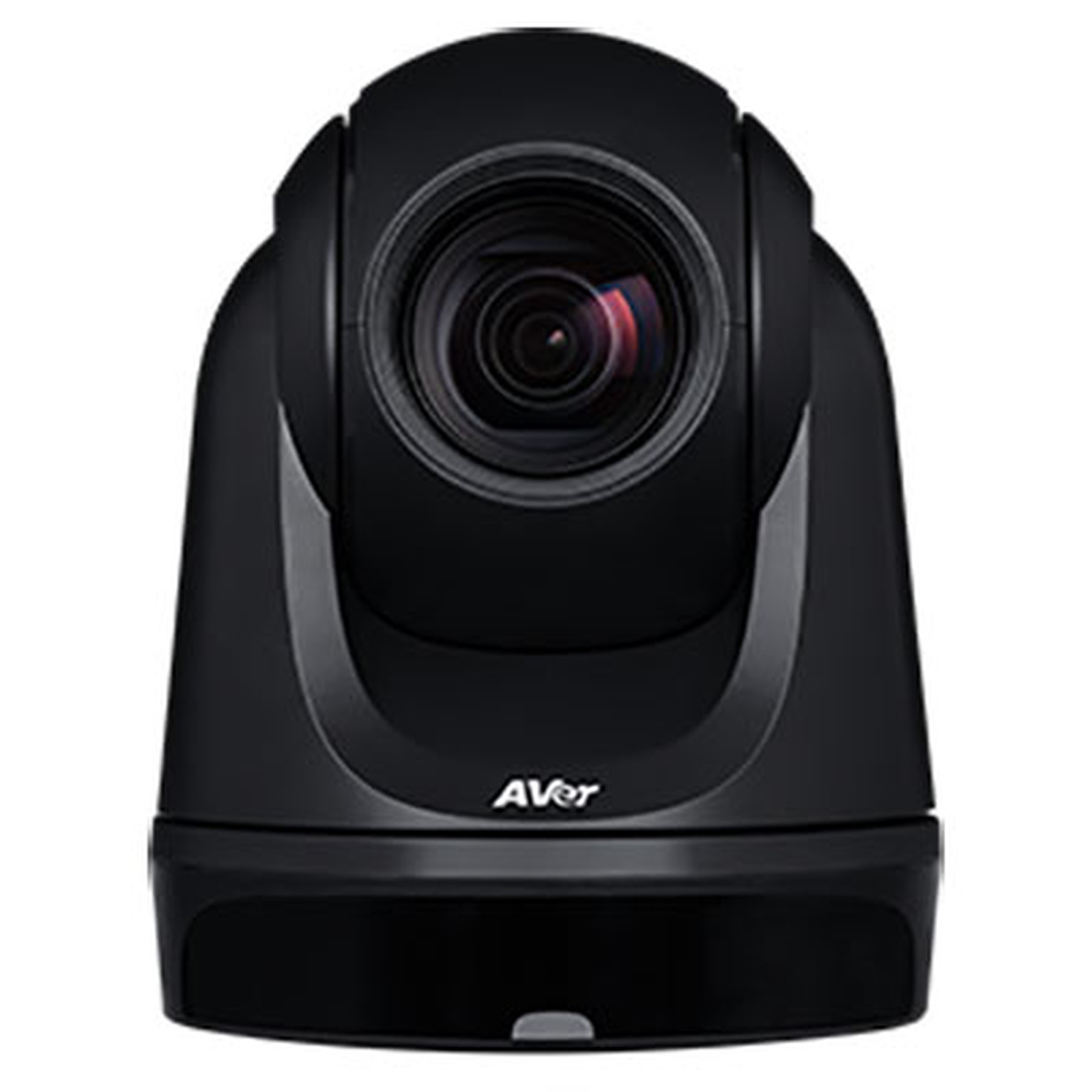 AVer DL30 - Webcam AVer