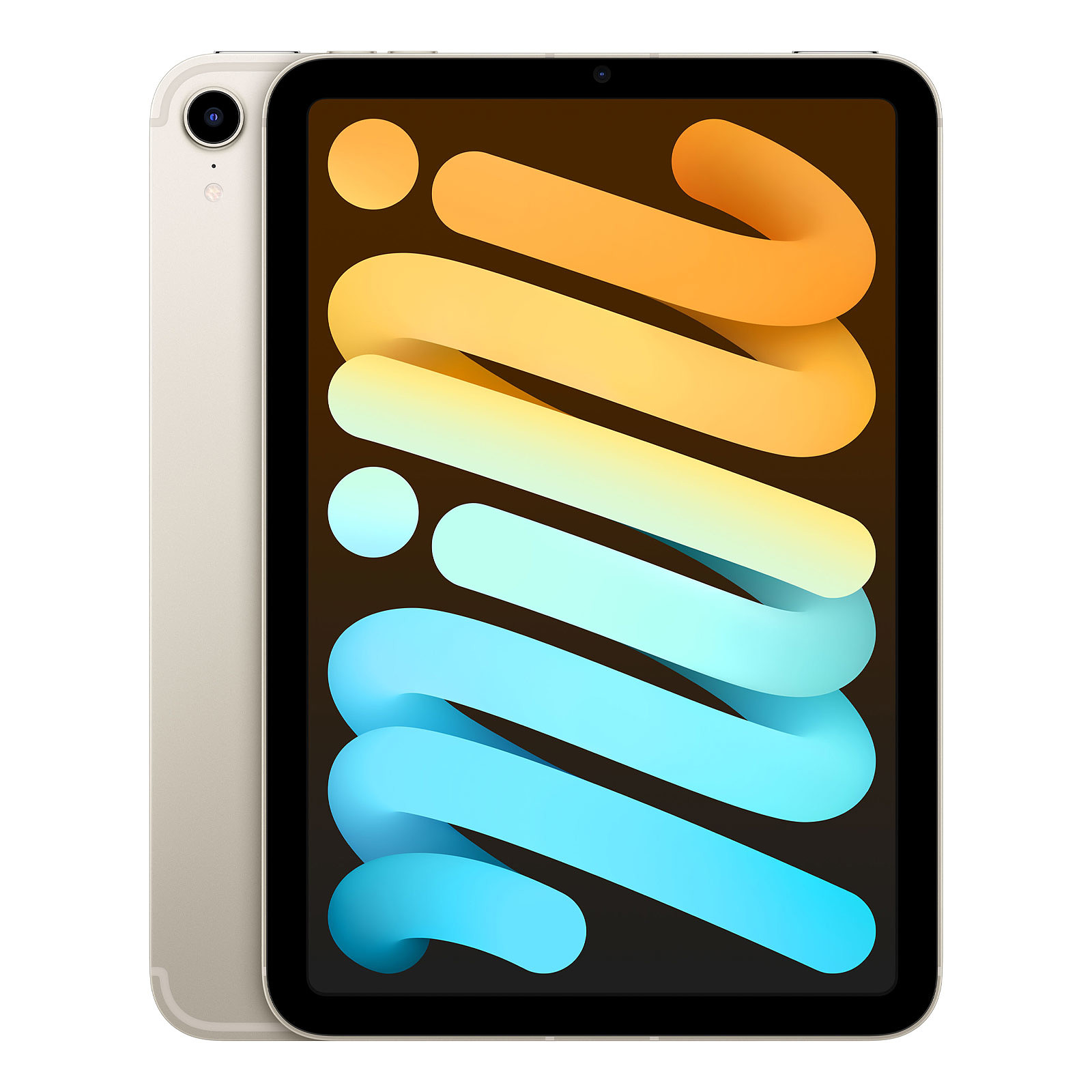 Apple iPad mini (2021) 64 Go Wi-Fi + Cellular Lumière stellaire - Tablette tactile Apple