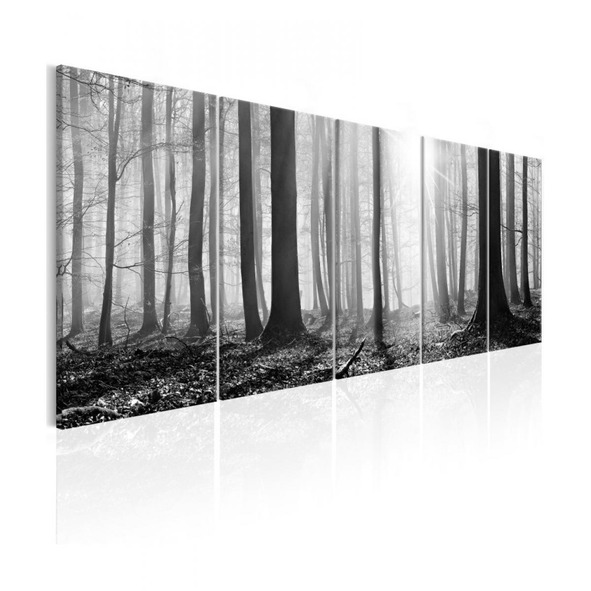 Artgeist - Tableau - Monochrome Forest 200x80 - Tableaux, peintures