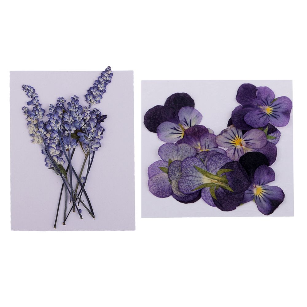 marque generique - Fleurs séchées pressées naturelles - Plantes et fleurs artificielles