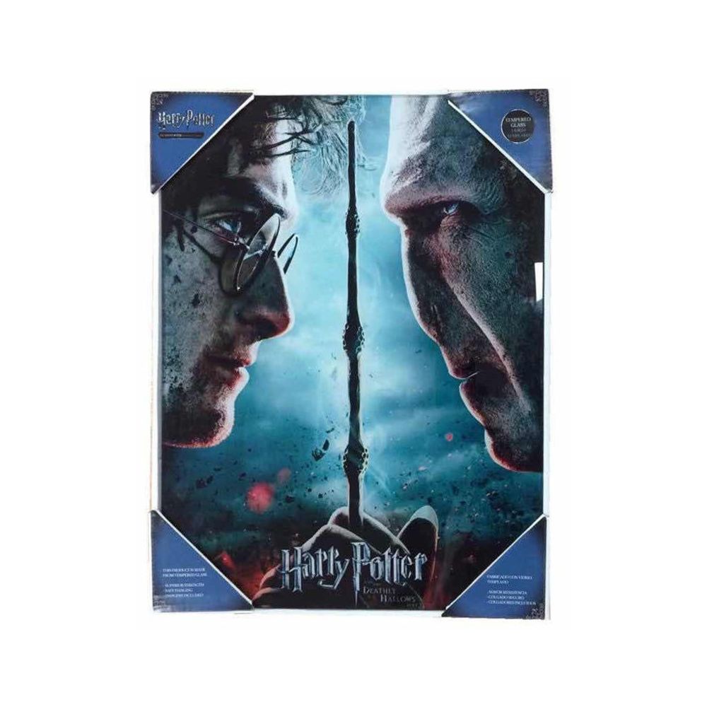 marque generique - SD TOYS - Harry Potter vs Voldemort affiche en verre - Affiches, posters