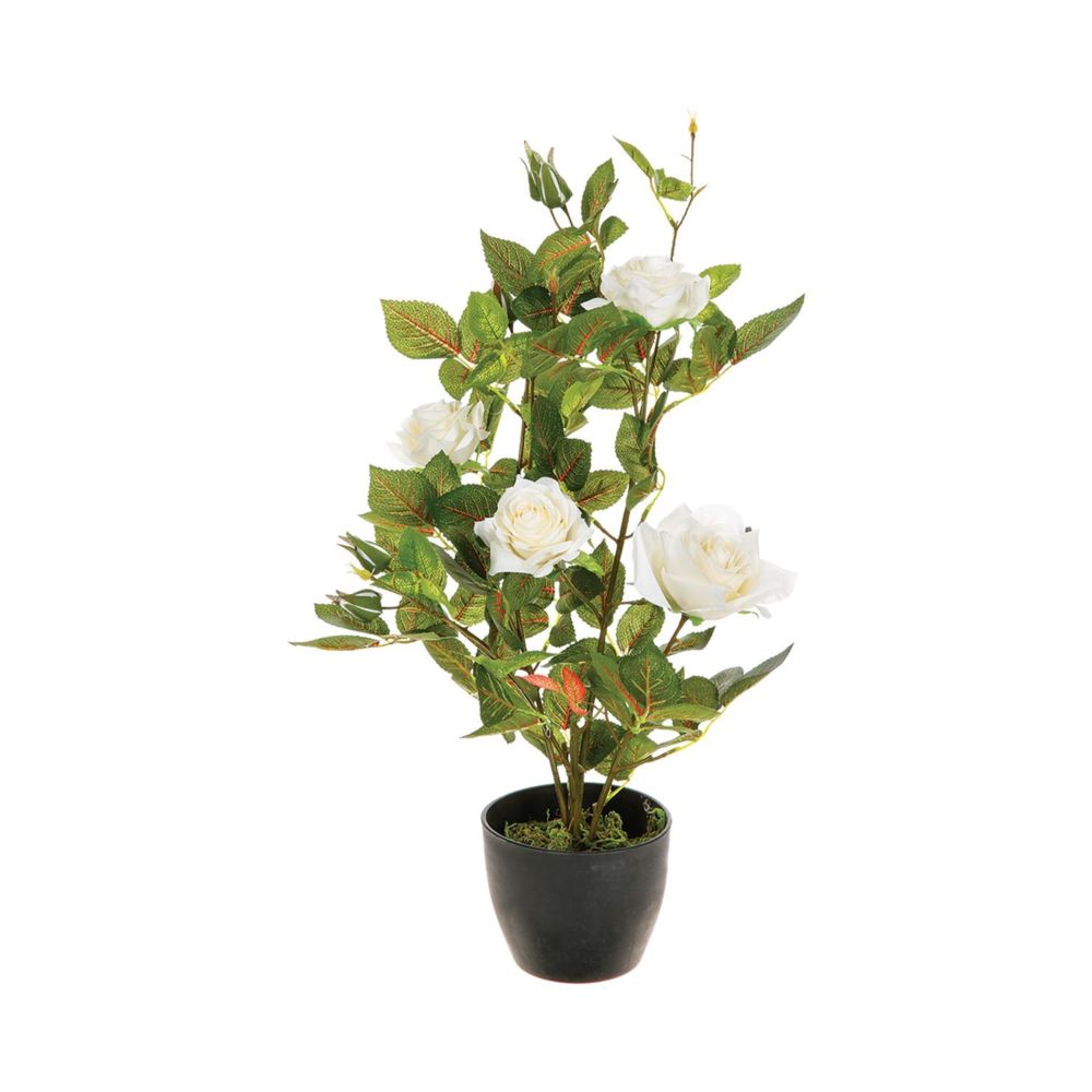 Atmosphera, Createur D'Interieur - Rosier artificiel en pot - H. 50 cm - Blanc - Plantes et fleurs artificielles
