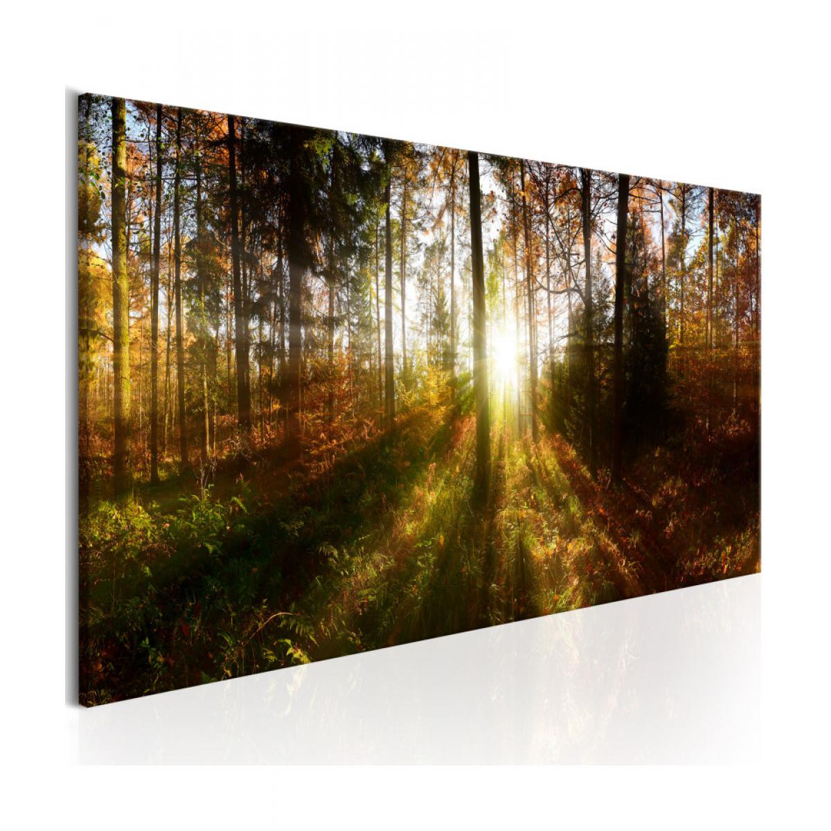 Artgeist - Tableau - Beautiful Forest 135x45 - Tableaux, peintures