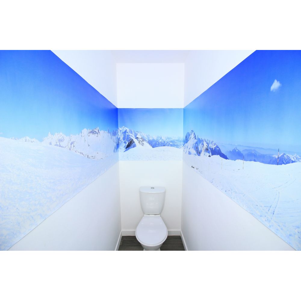 360Posters - Mont-Blanc (450_x_71_cm) - Affiches, posters