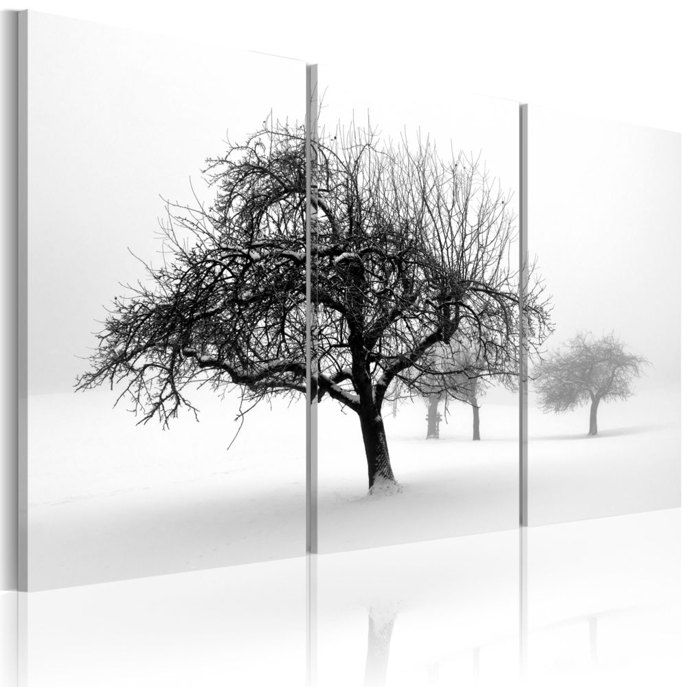 Bimago - Tableau - Arbres dans le brouillard - Décoration, image, art | Paysages | Arbres | - Tableaux, peintures