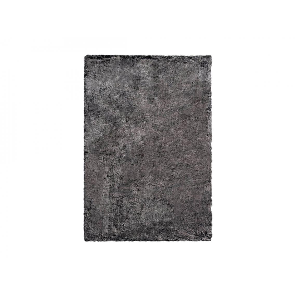 Bobochic - BOBOCHIC Tapis poil shaggy rectangulaire POLINE uni Anthracite 120x170 - Tapis