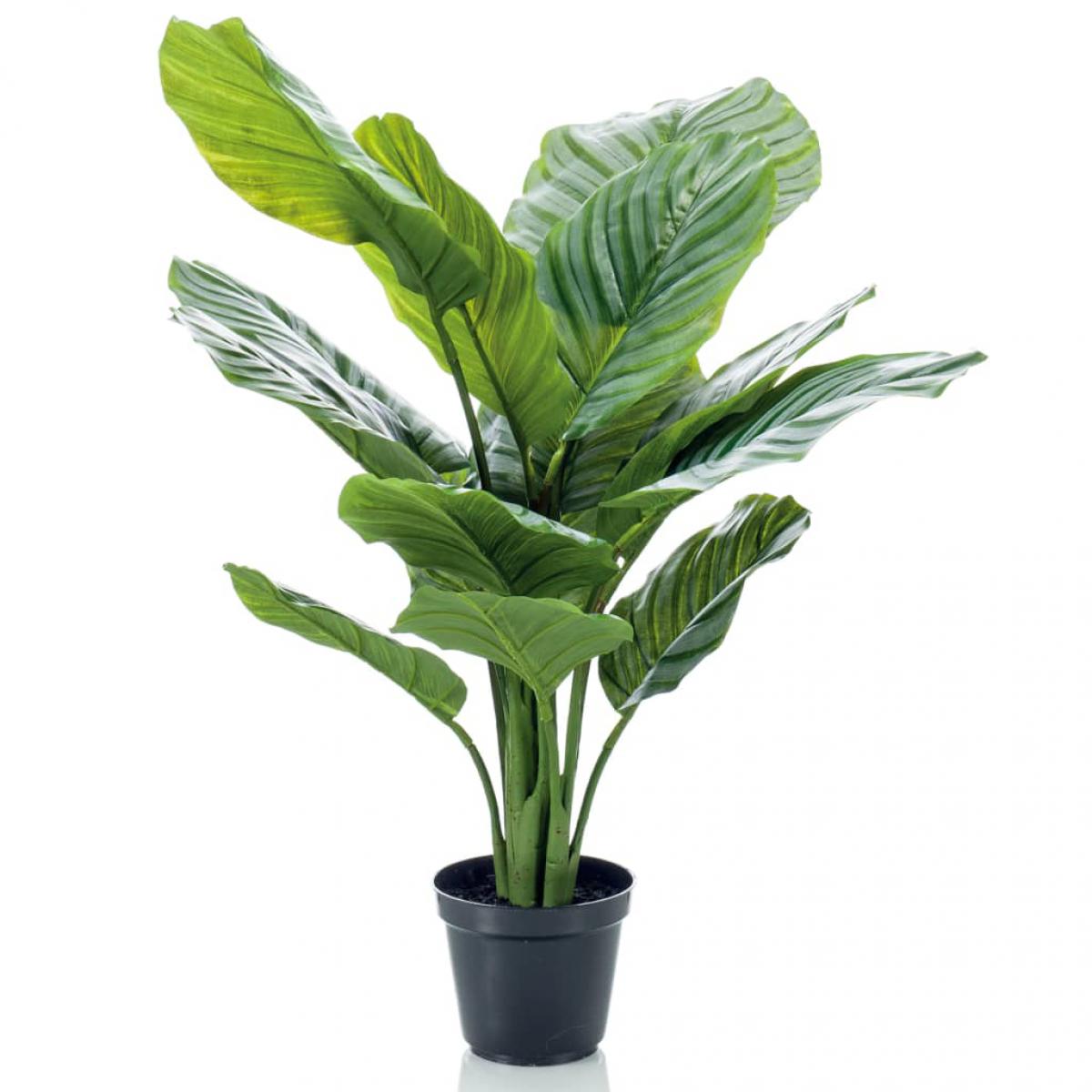 Emerald - Emerald Plante artificielle Calathea Orbifolia en pot 60 cm - Plantes et fleurs artificielles