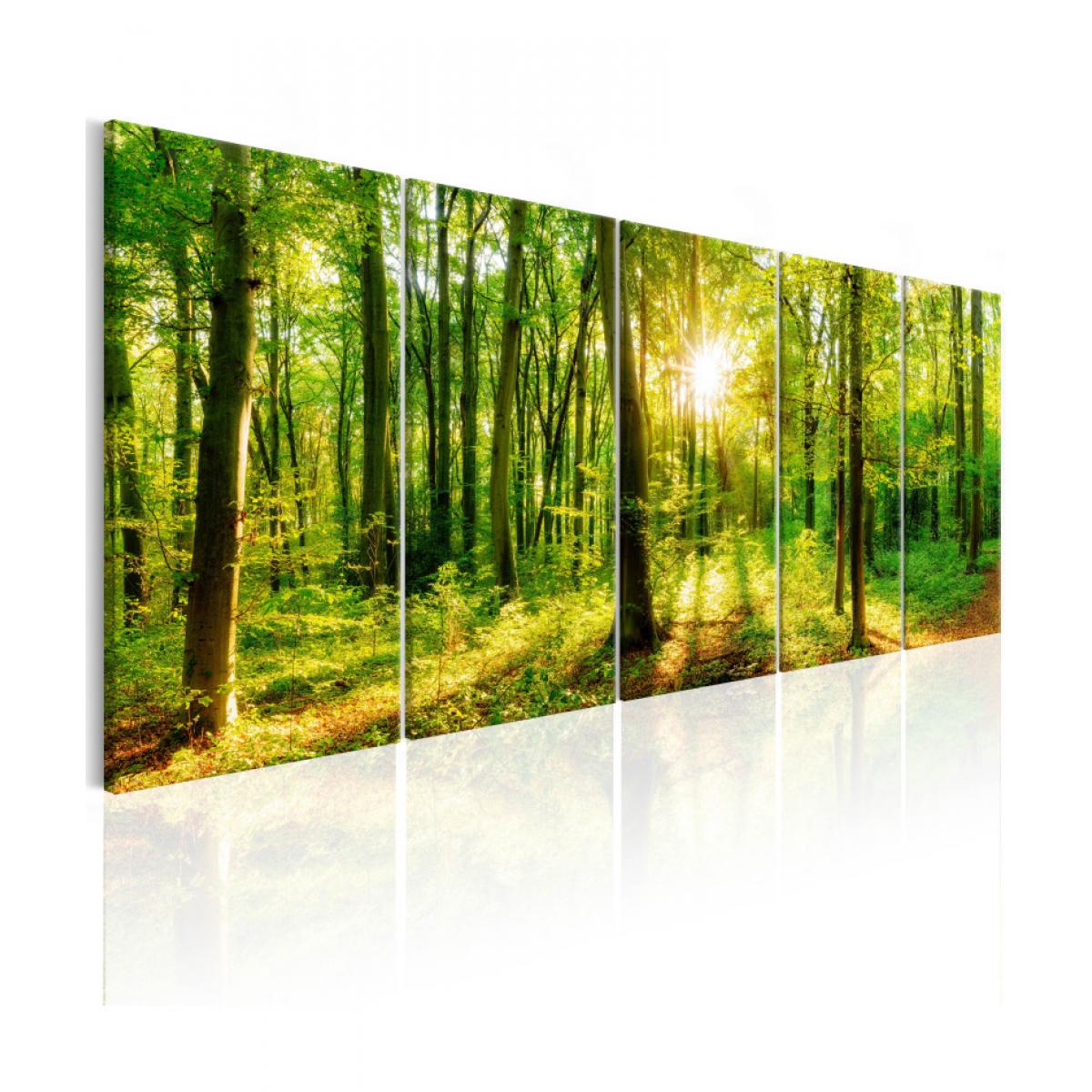 Artgeist - Tableau - Magic Forest 225x90 - Tableaux, peintures