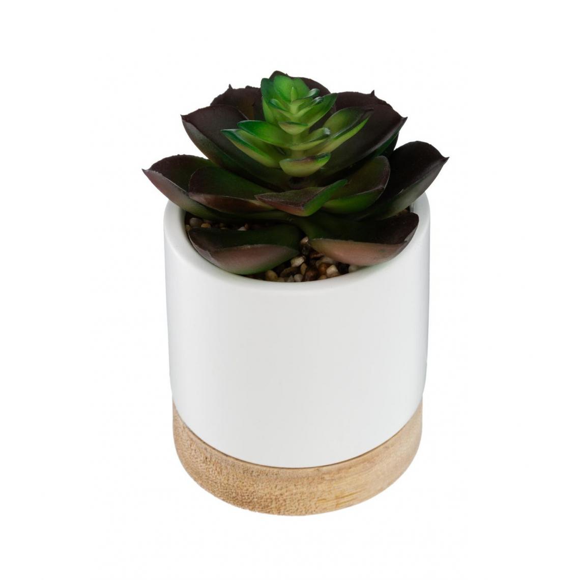 Atmosphera, Createur D'Interieur - Atmosphera - Plante artificielle Succulente pot céramique et bois - Plantes et fleurs artificielles