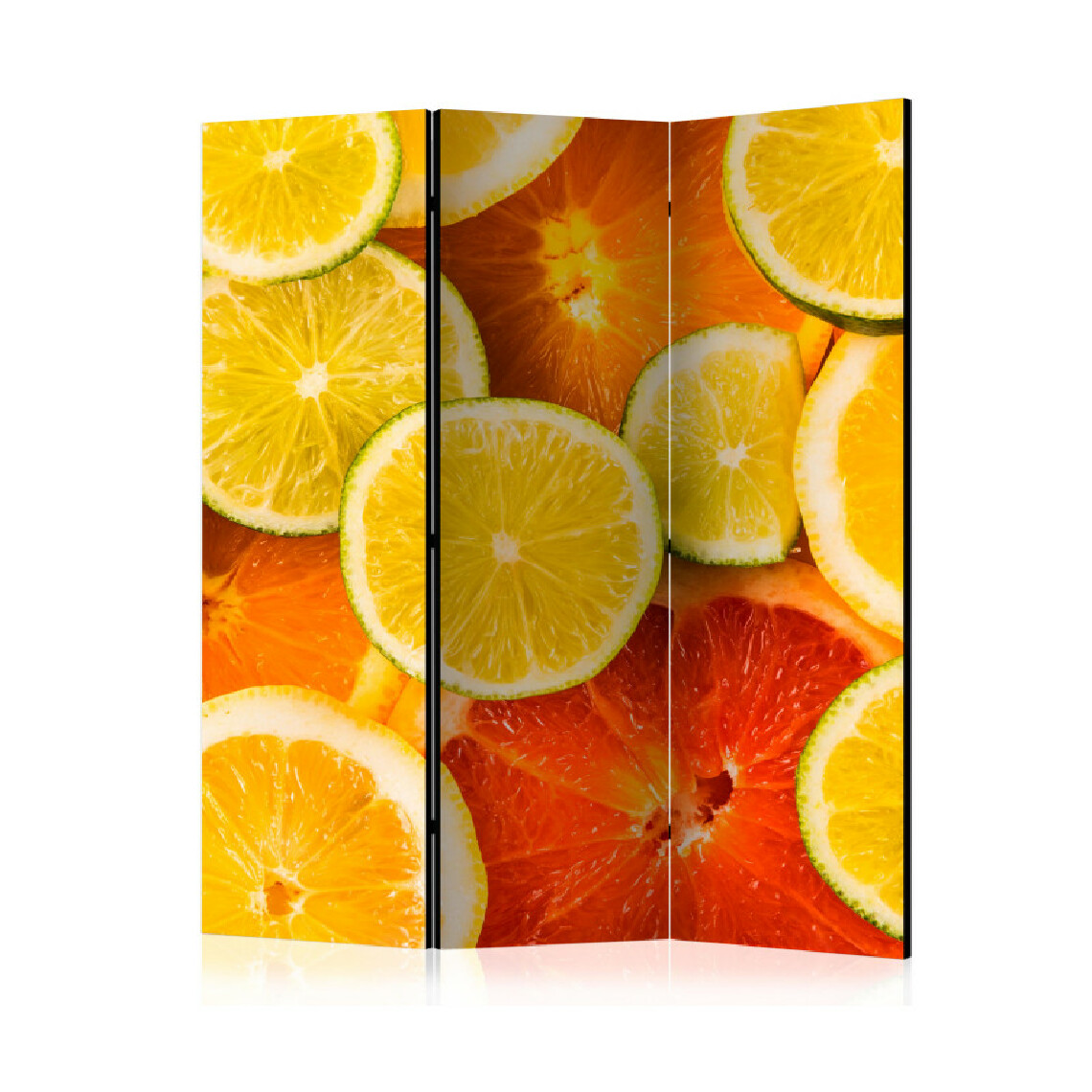 Artgeist - Paravent 3 volets - Citrus fruits [Room Dividers] 135x172 - Paravents