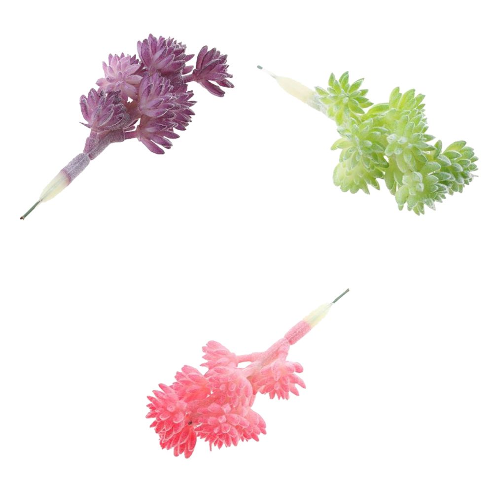 marque generique - Simulation Plantes succulentes - Plantes et fleurs artificielles