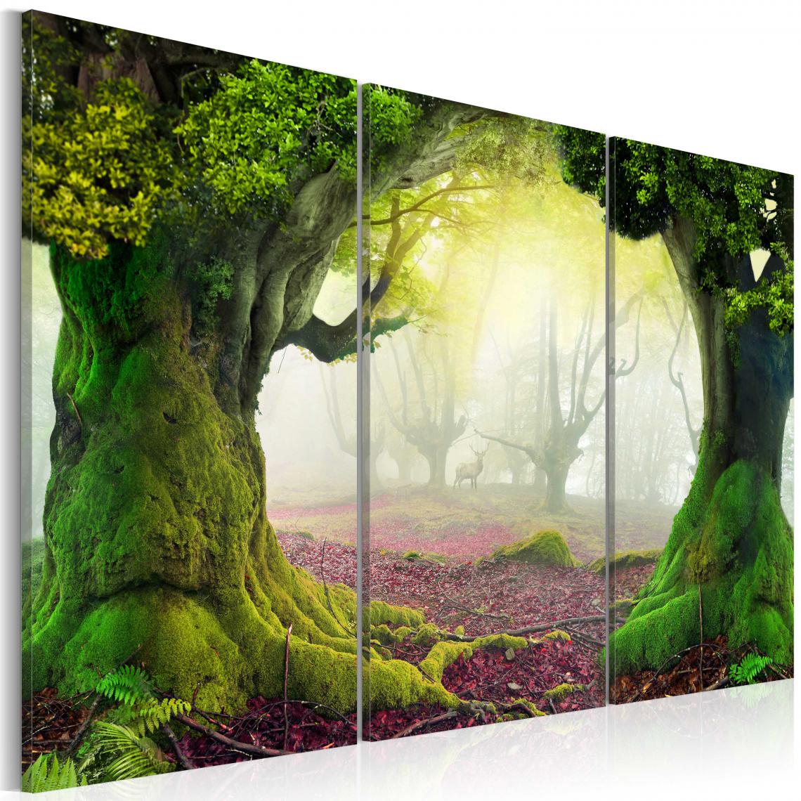 Decoshop26 - Tableau sur toile en 3 panneaux décoration murale image imprimée cadre en bois à suspendre Forêt mystérieuse - triptyque 120x80 cm 11_0006164 - Tableaux, peintures