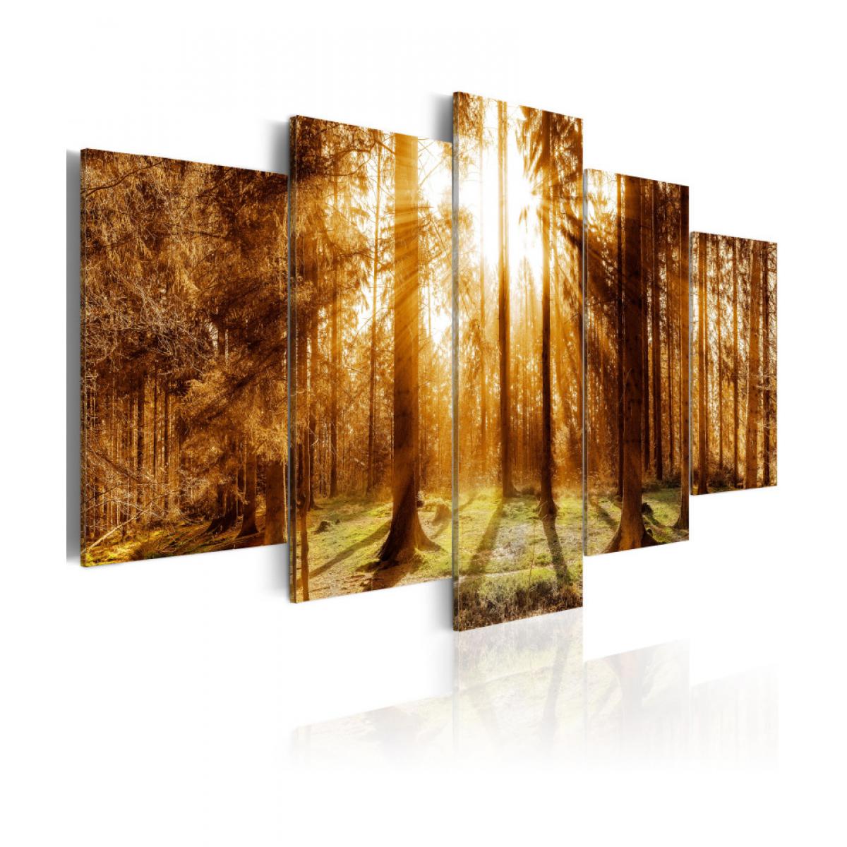Artgeist - Tableau - Forest Illumination 200x100 - Tableaux, peintures