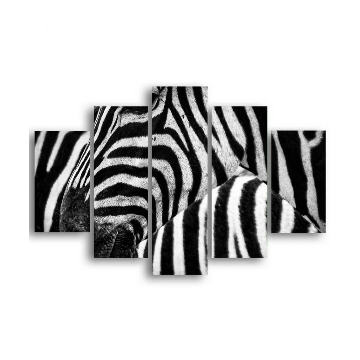 Homemania - HOMEMANIA Tableau Zebra - 5 pièces - Animaux - par salon, pièce - Multicouleur en MDF, 95 x 0,3 x 60 cm - Tableaux, peintures