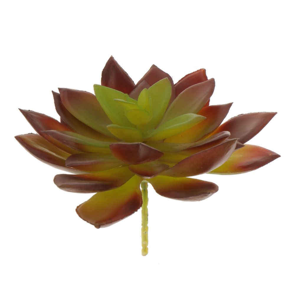 marque generique - Artificial Succulent Réel Tactile Snow Lotus Feuille Feuillage D'automne Couleur - Plantes et fleurs artificielles