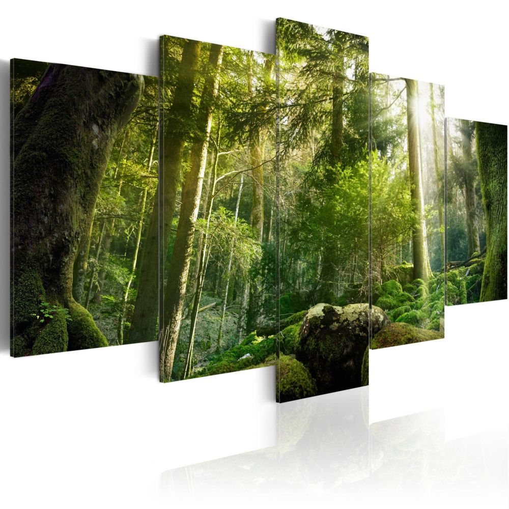 Bimago - Tableau - Beauté de la forêt - Décoration, image, art | Paysages | Forêt | - Tableaux, peintures