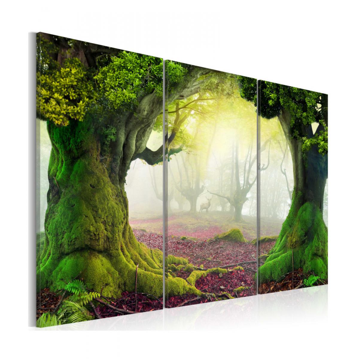 Artgeist - Tableau - Mysterious forest - triptych 60x40 - Tableaux, peintures