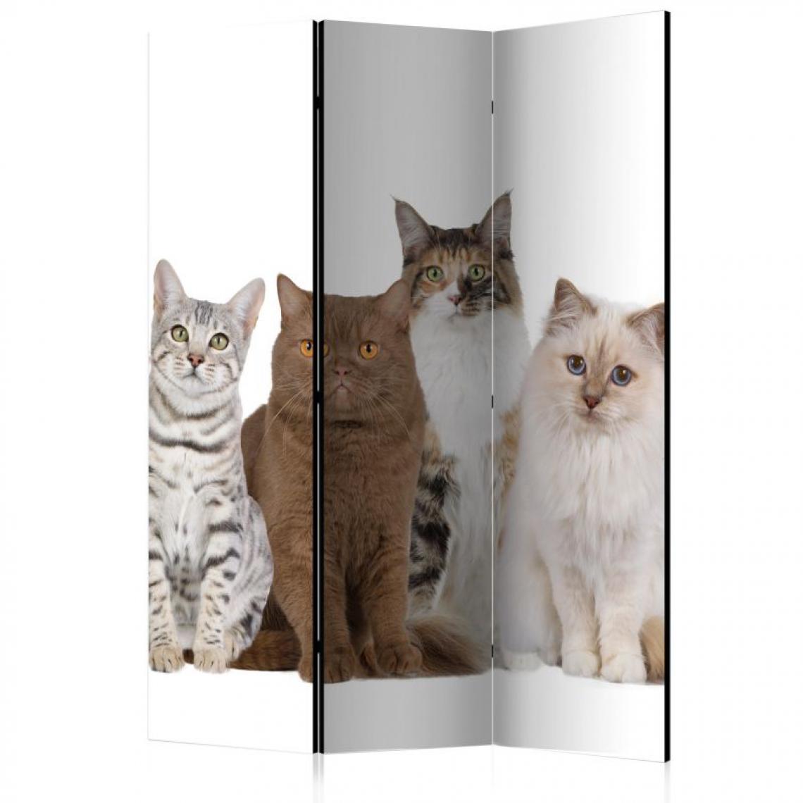 Artgeist - Paravent 3 volets - Sweet Cats [Room Dividers] .Taille : 135x172 - Paravents