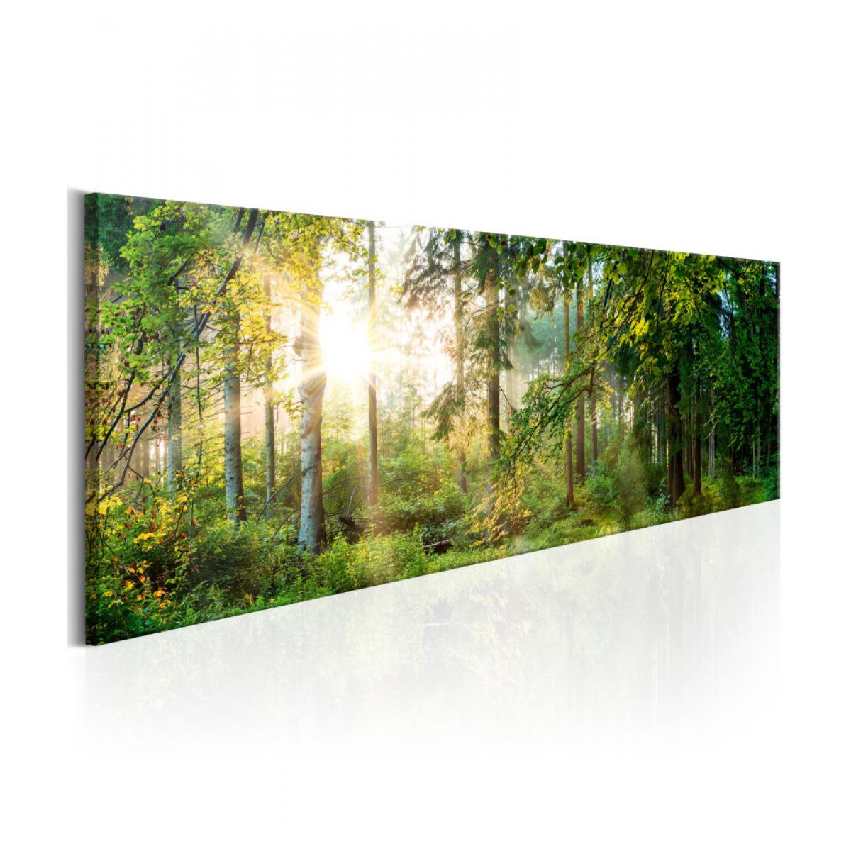 Artgeist - Tableau - Forest Shelter 120x40 - Tableaux, peintures