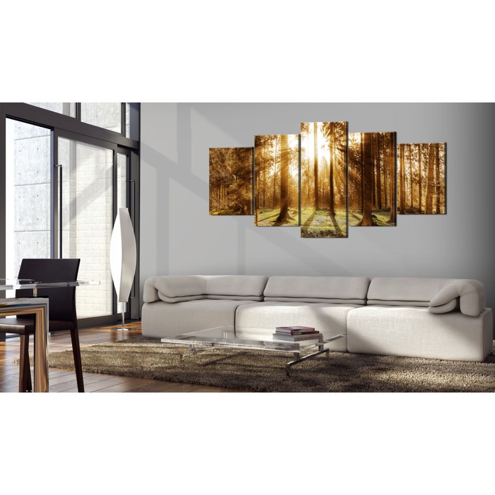 marque generique - 100x50 Tableau Forêt Paysages Magnifique Forest Illumination - Tableaux, peintures