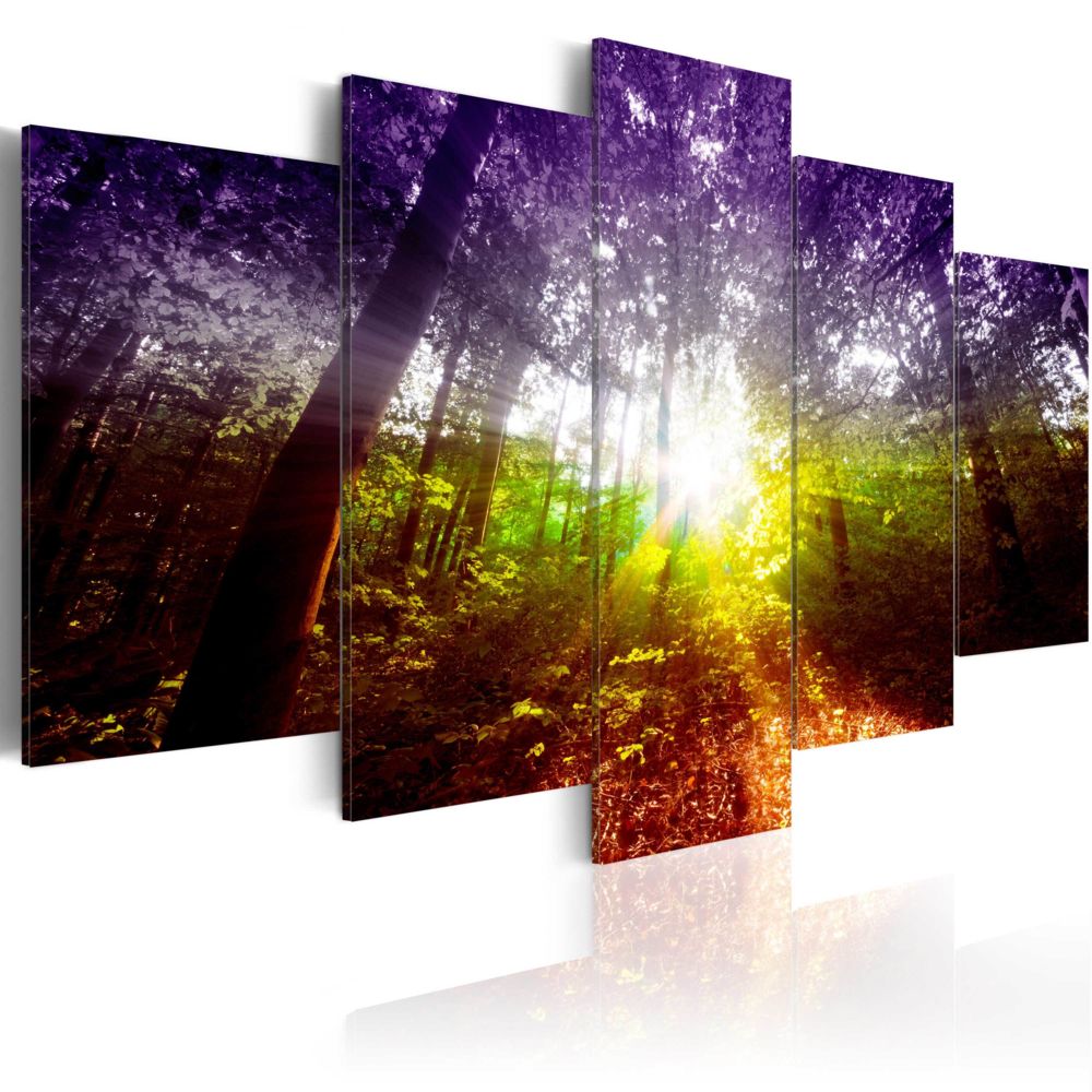 Bimago - Tableau - Rainbow Forest - Décoration, image, art | Paysages | Forêt | - Tableaux, peintures