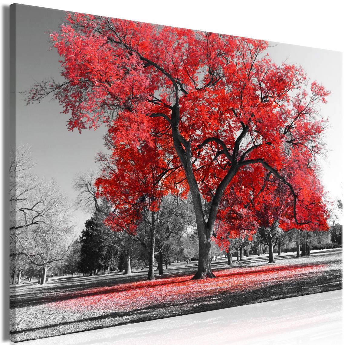 Decoshop26 - Tableau sur toile décoration murale image imprimée cadre en bois à suspendre Automne dans le parc (1 partie) rouge large 120x80 cm 11_0006087 - Tableaux, peintures
