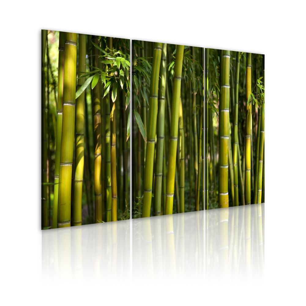 Bimago - Tableau | Bambou et vert | 120x80 | Zen | - Tableaux, peintures