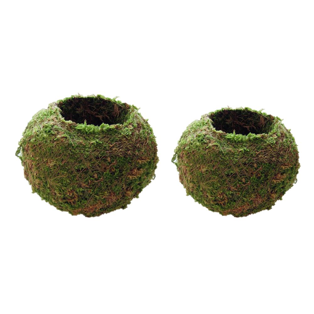 marque generique - 2 Pc Creative Moss Ball Fleur Pot Jardinière Bonsaï Plant Holder Maison 6 cm et 9 cm - Pots, cache-pots