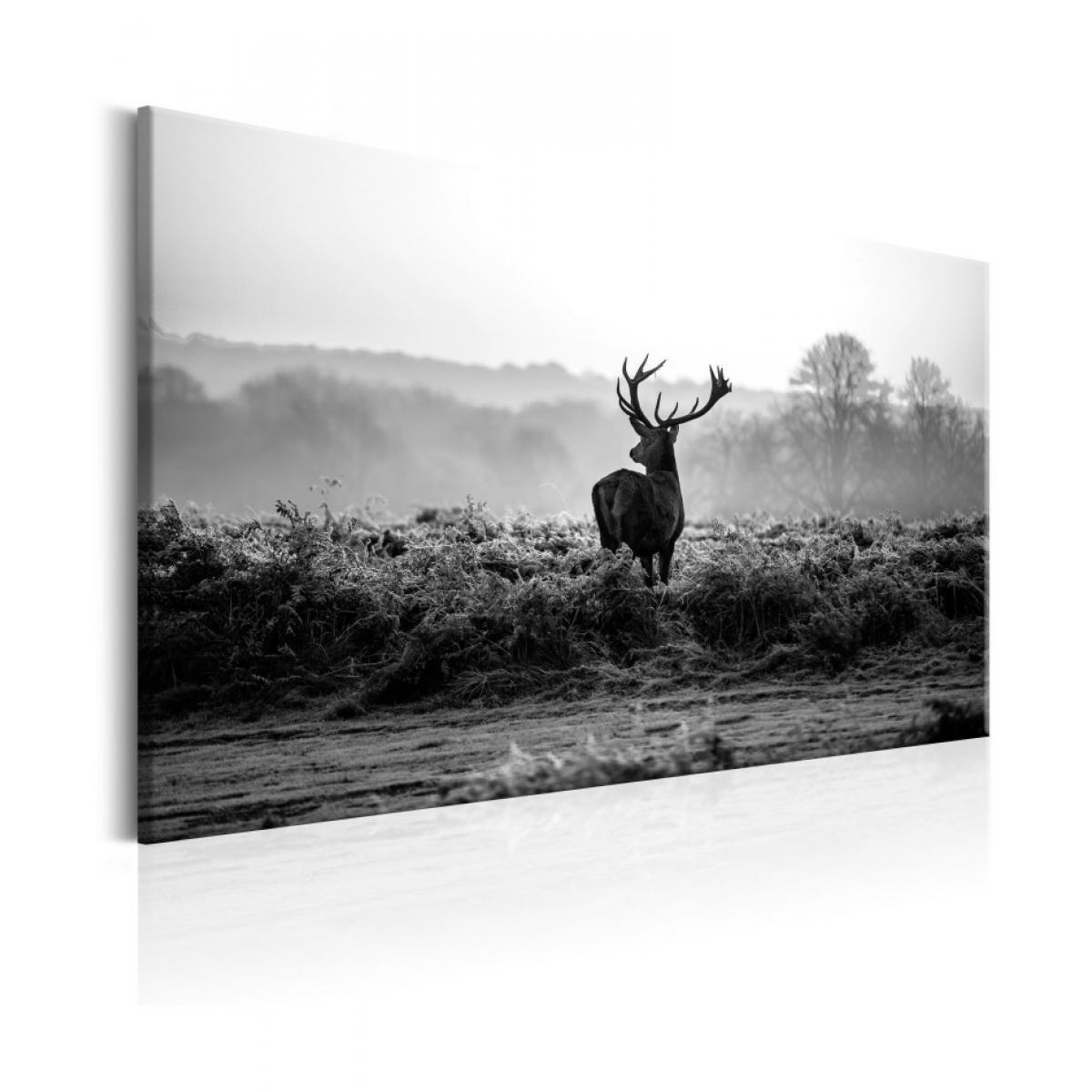Artgeist - Tableau - Deer in the Wild 120x80 - Tableaux, peintures