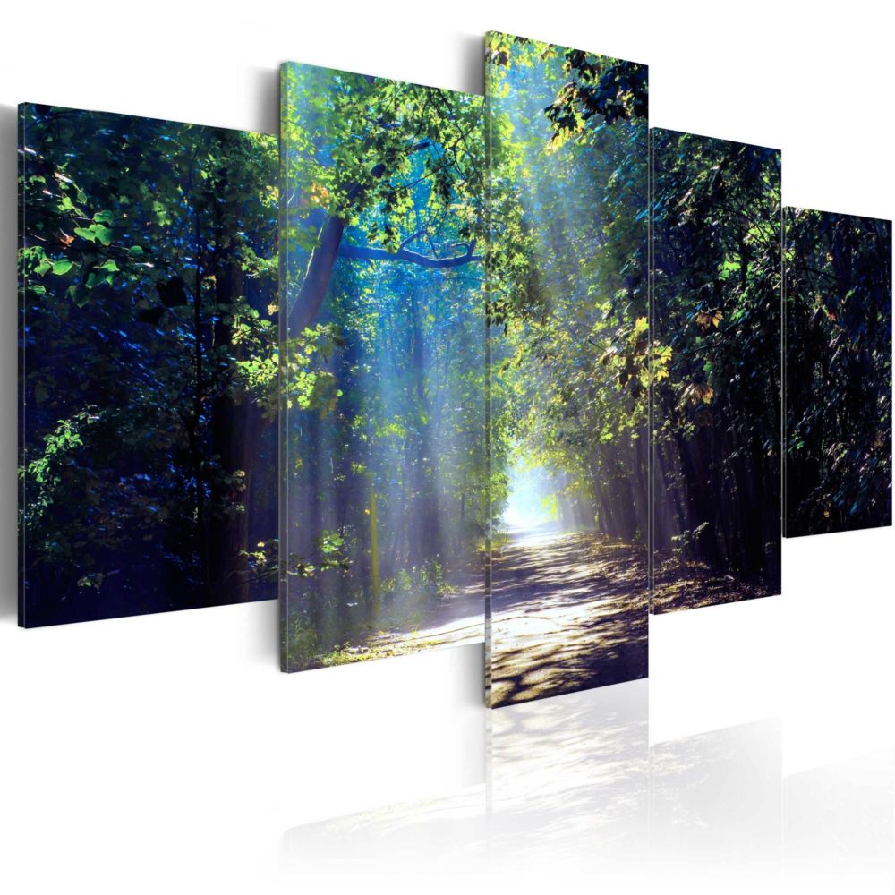 Artgeist - Tableau - Sunny Forest Path 100x50 - Tableaux, peintures