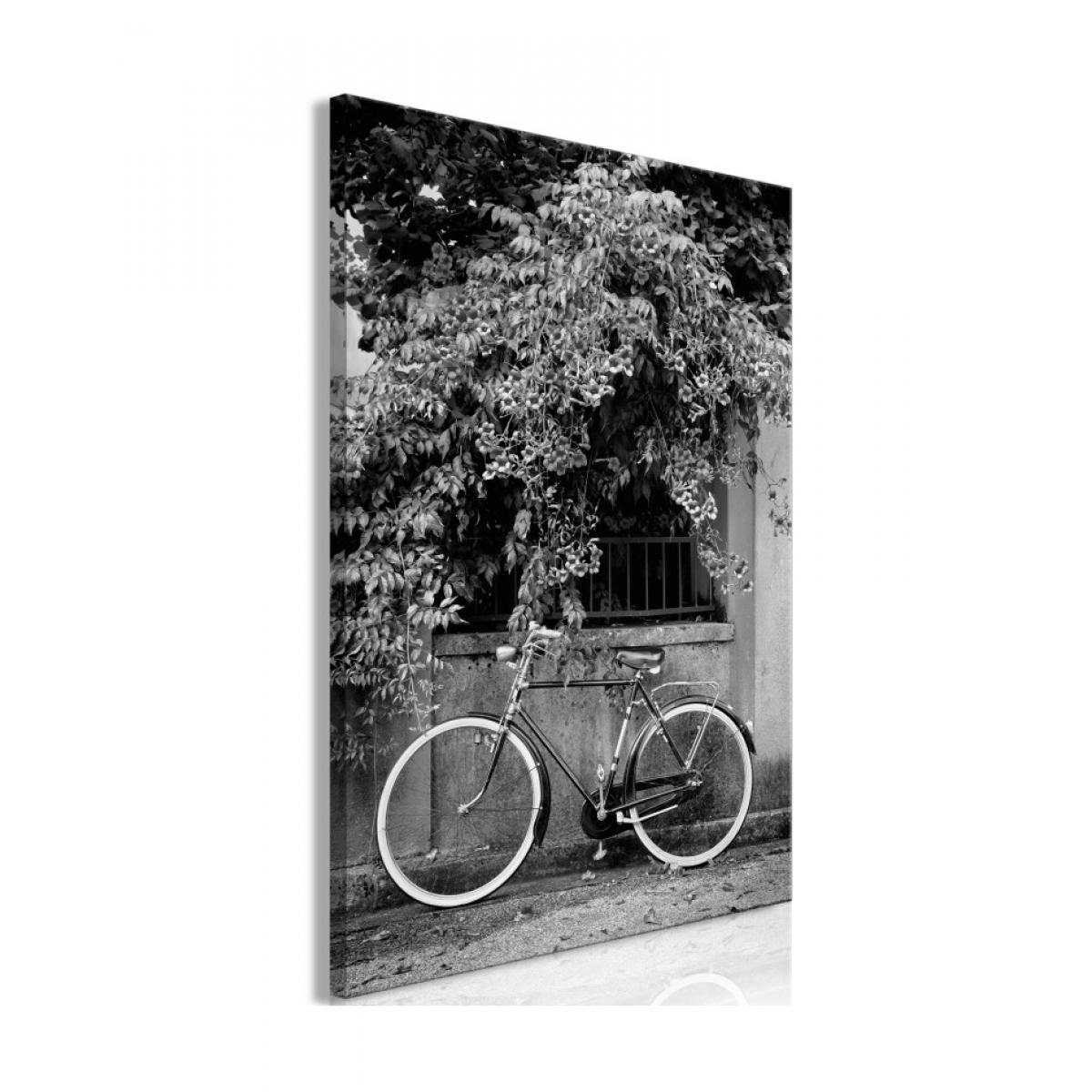 Artgeist - Tableau - Bicycle and Flowers (1 Part) Vertical 40x60 - Tableaux, peintures