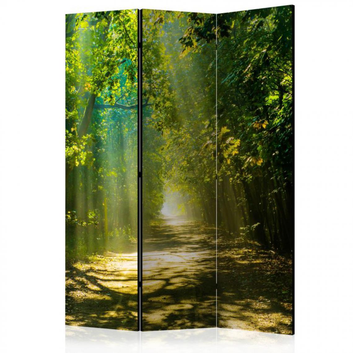 Artgeist - Paravent 3 volets - Road in Sunlight [Room Dividers] .Taille : 135x172 - Paravents