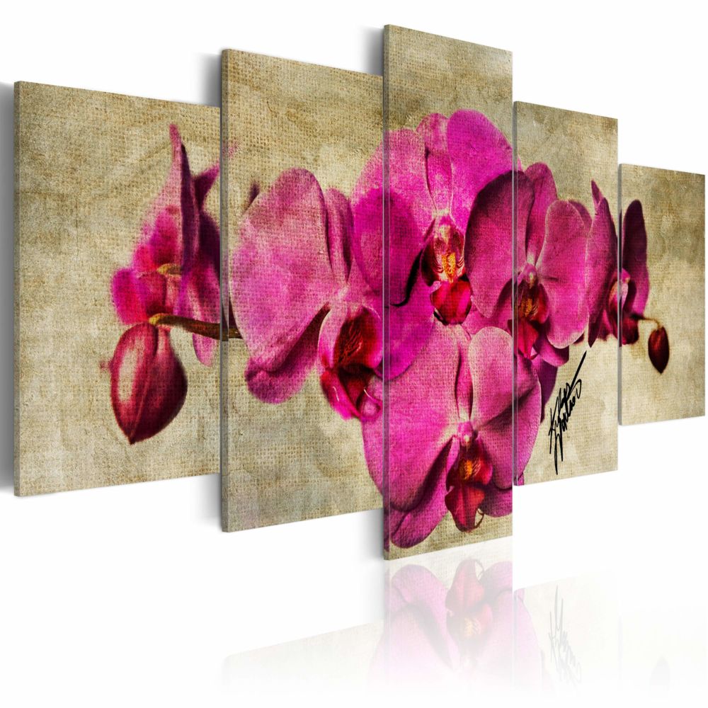Bimago - Tableau | Orchids on canvas | 200x100 | XXL | 5 pieces | - Tableaux, peintures