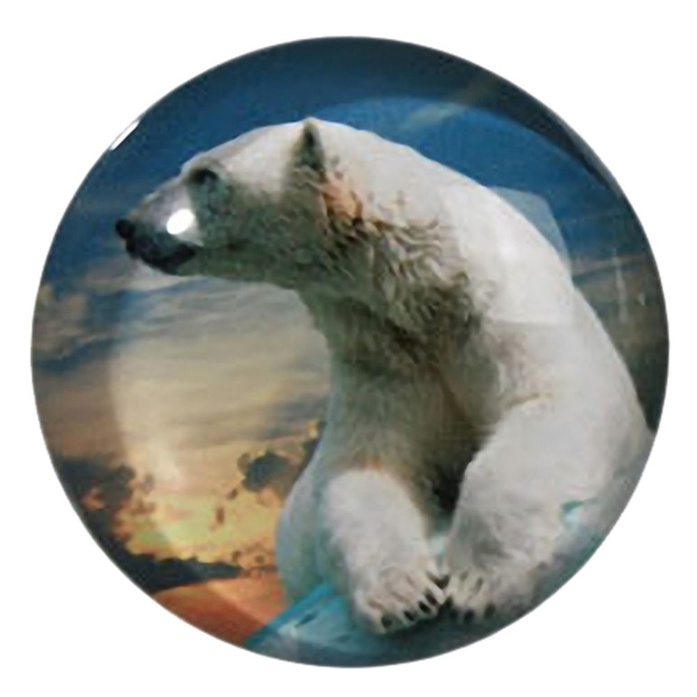 Out Of The Blue - Petit magnet en verre rond Ours Blanc - Affiches, posters