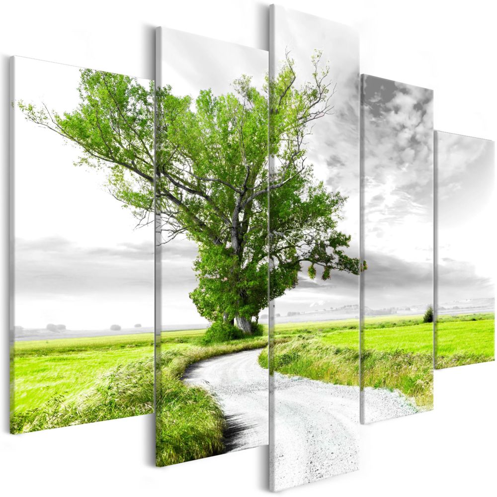Bimago - Tableau - Tree near the Road (5 Parts) Green - Décoration, image, art | Paysages | Arbres | - Tableaux, peintures
