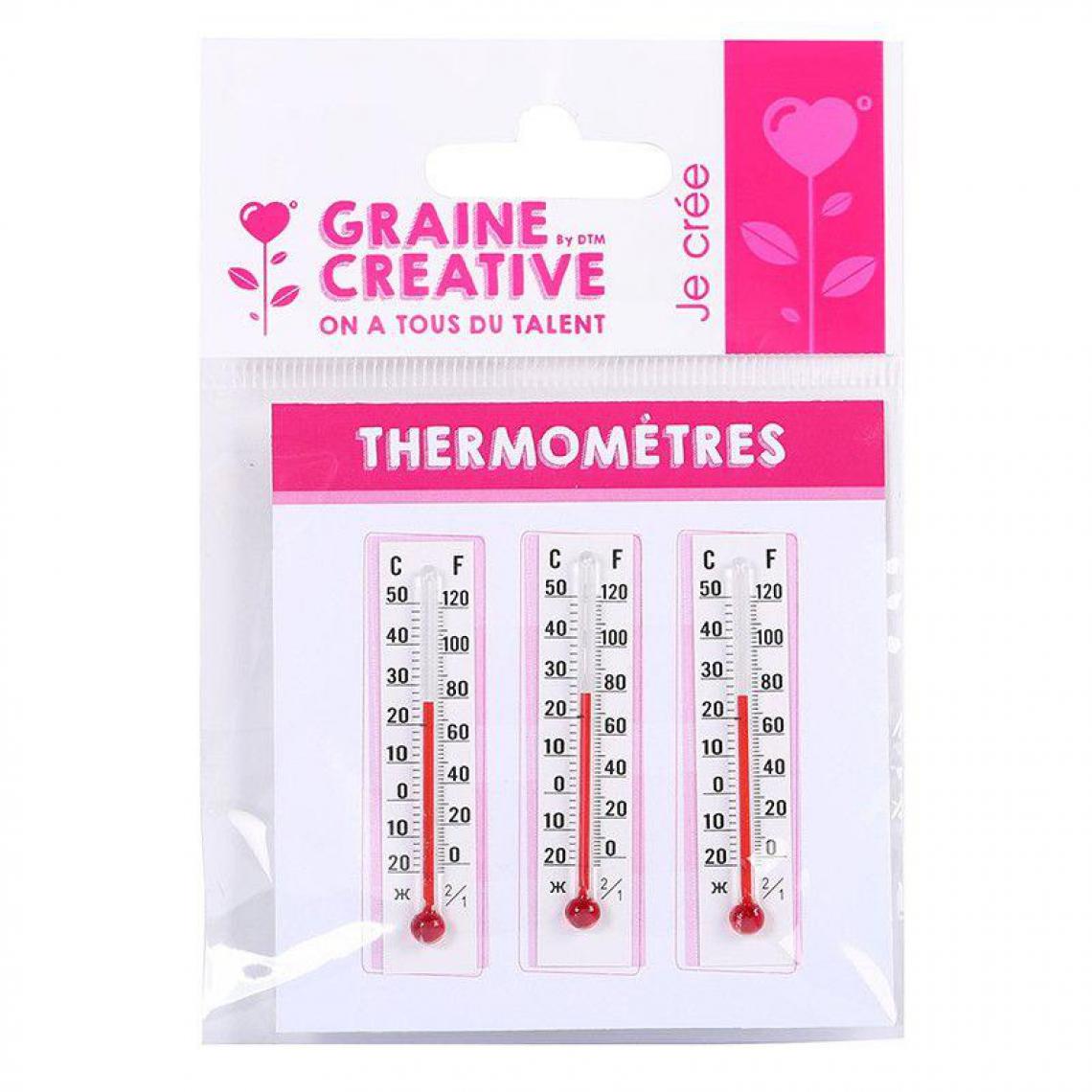 Graines Creatives - 3 Thermomètres à personnaliser - Objets déco