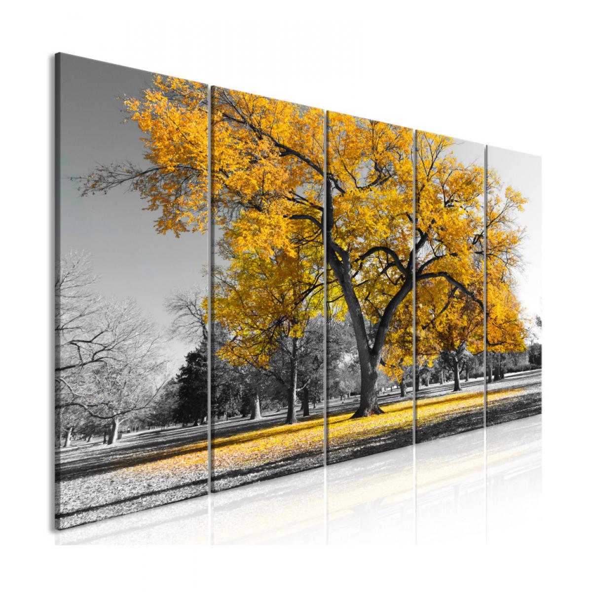 Artgeist - Tableau - Autumn in the Park (5 Parts) Narrow Gold 225x90 - Tableaux, peintures