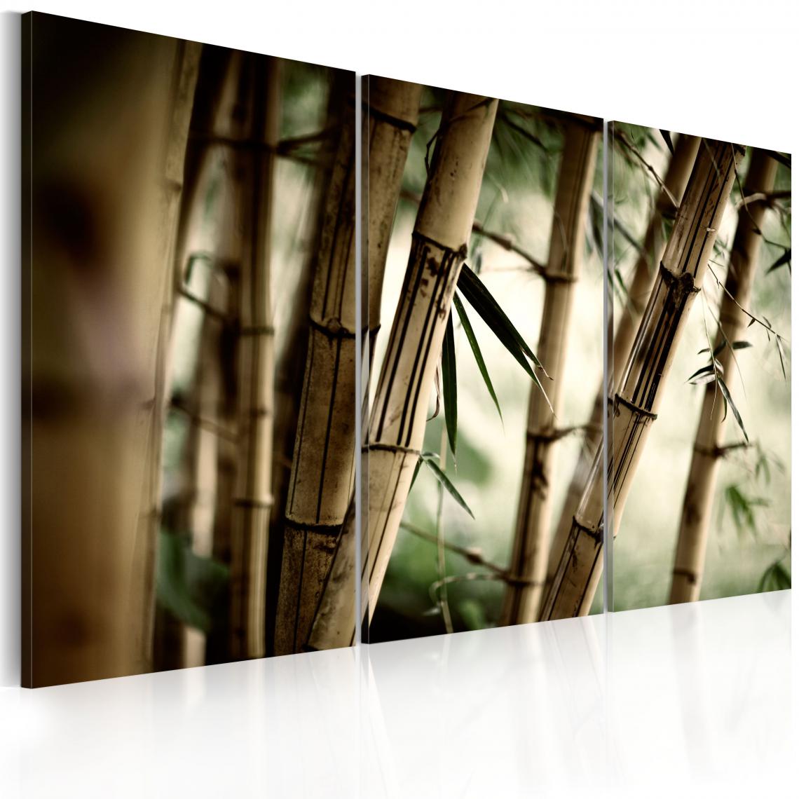 Decoshop26 - Tableau sur toile en 3 panneaux décoration murale image imprimée cadre en bois à suspendre forêt tropicale 90x60 cm 11_0008886 - Tableaux, peintures