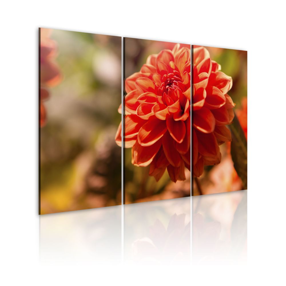 Bimago - Tableau | Nature pure | 60x40 | Fleurs | Fleurs variées | - Tableaux, peintures