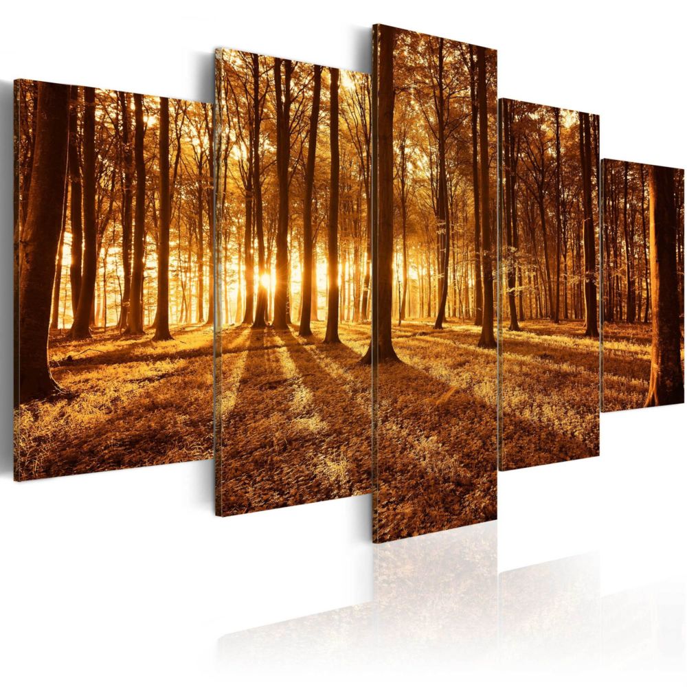 Artgeist - Tableau - Amber forest 100x50 - Tableaux, peintures