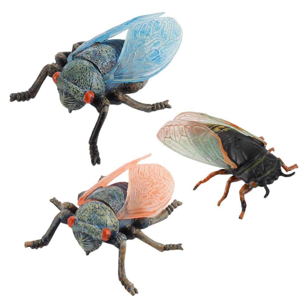 marque generique - NOUVEAU Insectes Animaux Figurines Vraie Cigale Modèle Jouet Fête Sur Le Thème Faveurs Lot De 3 - Objets déco