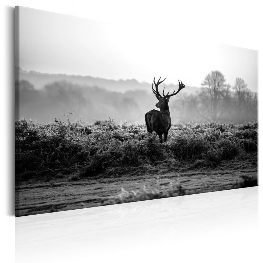 Bimago - Tableau - Deer in the Wild - Décoration, image, art | Animaux divers | - Tableaux, peintures